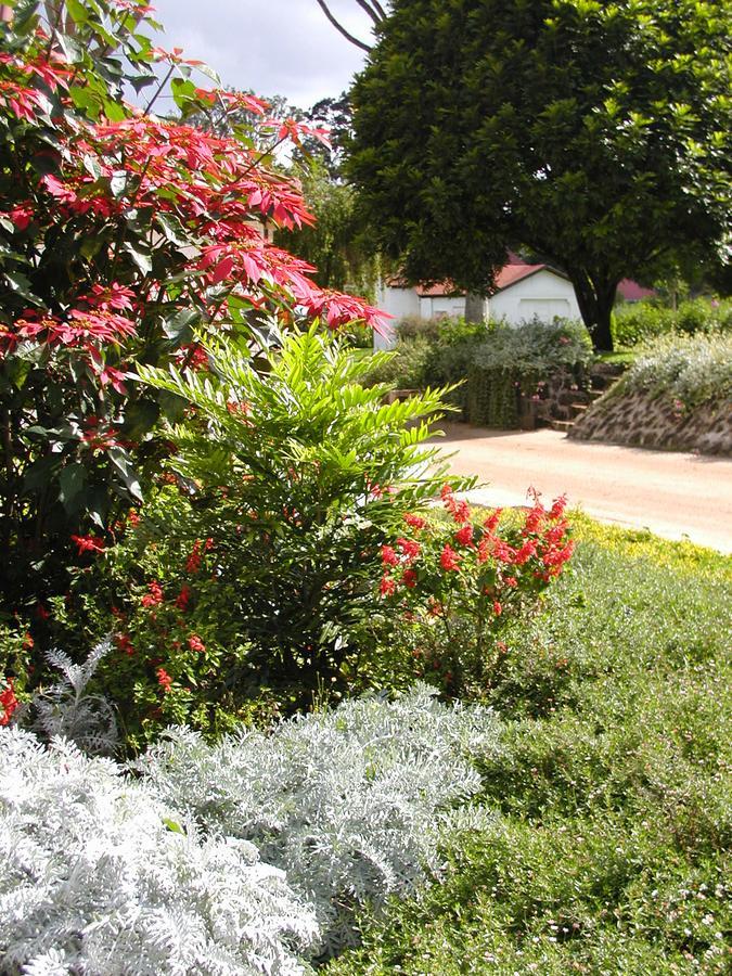 Hotel Brackenhurst Conference And Retreat Centre Limuru Exterior foto